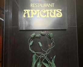 Dinner at APICIUS