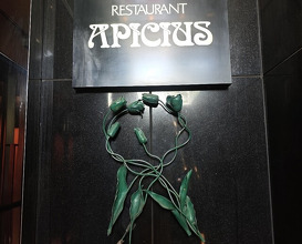Dinner at APICIUS