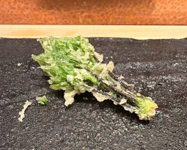Dinner at Tempura Araki(Sapporo)