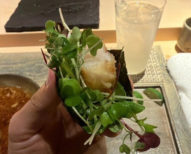 Dinner at Tempura Araki(Sapporo)
