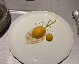 Dinner at ASAHINA Gastronome