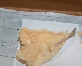 Dinner at Tempura Asanuma (天ぷら浅沼)