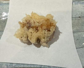 Dinner at Tempura Asanuma (天ぷら浅沼)