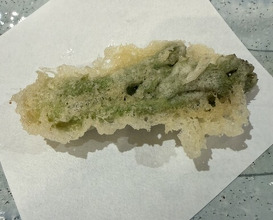 Dinner at Tempura Asanuma (天ぷら浅沼)