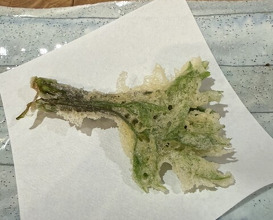 Dinner at Tempura Asanuma (天ぷら浅沼)