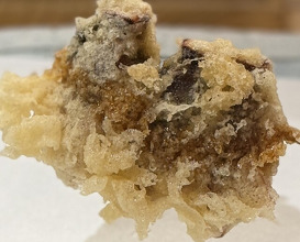Dinner at Tempura Asanuma (天ぷら浅沼)