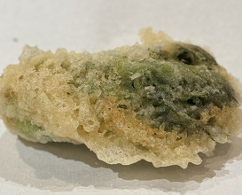 Dinner at Tempura Asanuma (天ぷら浅沼)