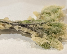 Dinner at Tempura Asanuma (天ぷら浅沼)
