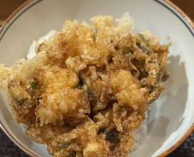 Dinner at Tempura Asanuma (天ぷら浅沼)