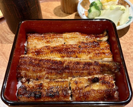 Dinner at Sangubashi Asaya