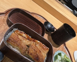 Dinner at Sangubashi Asaya