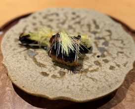 Dinner at Sangubashi Asaya