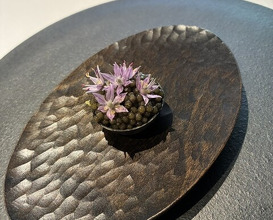 Dinner at Cà sento