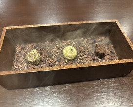 Dinner at ca'enne (カエンネ)