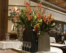 Dinner at Chez Inno (シェ・イノ)
