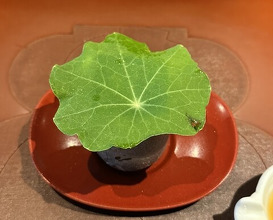 Dinner at Chisousottakuito (馳走 啐啄一十 )