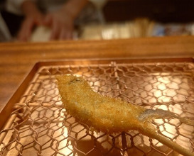 Dinner at kushikatsu daibon (串かつ だいぼん)