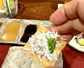 Dinner at kushikatsu daibon (串かつ だいぼん)