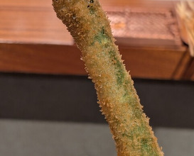 Dinner at kushikatsu daibon (串かつ だいぼん)