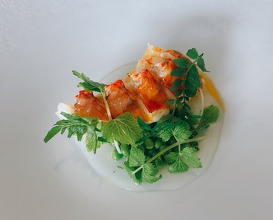 Dinner at ESqUISSE (エスキス)