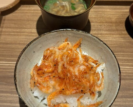 Dinner at Japanese Cuisine FUJI