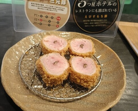 Dinner at Tonkatsu Fujii (とんかつ ふじ井)