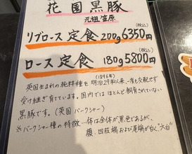Dinner at Tonkatsu Fujii (とんかつ ふじ井)