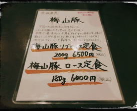 Dinner at Tonkatsu Fujii (とんかつ ふじ井)