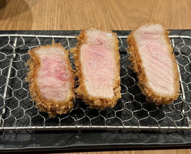 Dinner at Tonkatsu Fujii (とんかつ ふじ井)
