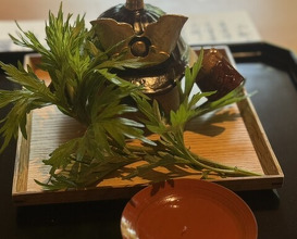 Dinner at Oryori Fujii (御料理ふじ居)