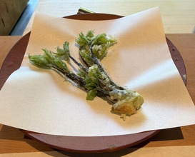 Dinner at Oryori Fujii (御料理ふじ居)