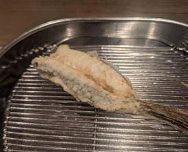 Dinner at Tempura Fukamachi (てんぷら 深町)