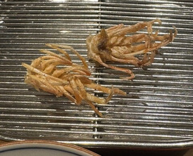 Dinner at Tempura Fukamachi (てんぷら 深町)