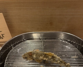Dinner at Tempura Fukamachi (てんぷら 深町)