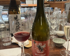 Dinner at Gatagata Ya (潟潟ヤ)