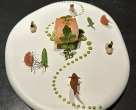 Dinner at HAJIME