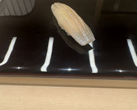 Dinner at Harutaka (青空)