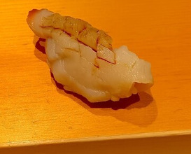 Dinner at Sushi Hashimoto