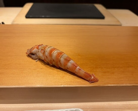Dinner at Sushi Hashimoto