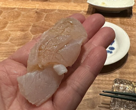 Dinner at HATSUNEZUSHI (初音鮨)