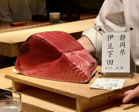 Dinner at HATSUNEZUSHI (初音鮨)