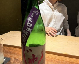 Dinner at HATSUNEZUSHI (初音鮨)