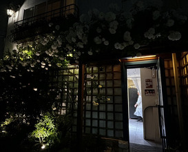 Dinner at HATSUNEZUSHI (初音鮨)
