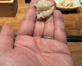 Dinner at HATSUNEZUSHI (初音鮨)