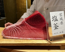 Dinner at HATSUNEZUSHI (初音鮨)