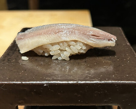 Dinner at HATSUNEZUSHI (初音鮨)