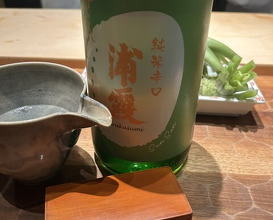 Dinner at HATSUNEZUSHI (初音鮨)