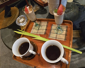 Dinner at HATSUNEZUSHI (初音鮨)