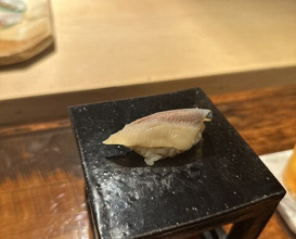 Dinner at HATSUNEZUSHI (初音鮨)
