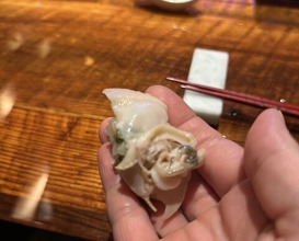 Dinner at HATSUNEZUSHI (初音鮨)